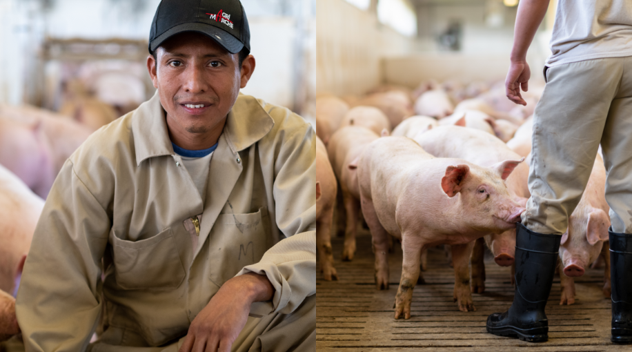 Travailleurs Agri-Marché