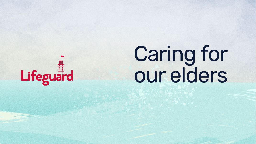 Section of the website showing an illustration of the section Caring for Elders